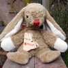 Kallisto Hase Benni