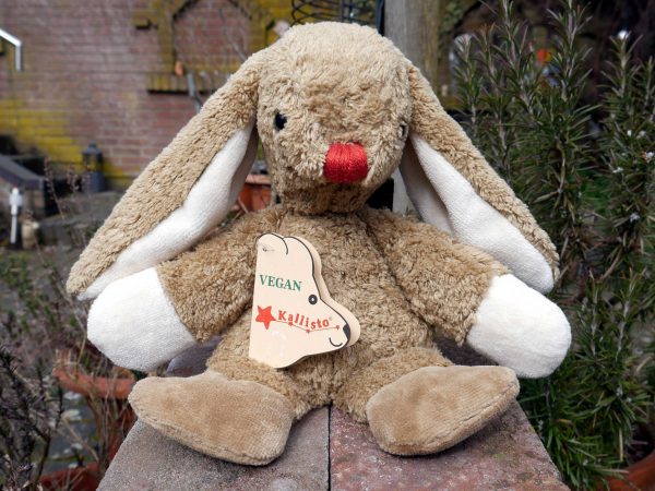 Kallisto Hase Benni