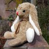 Kallisto Hase