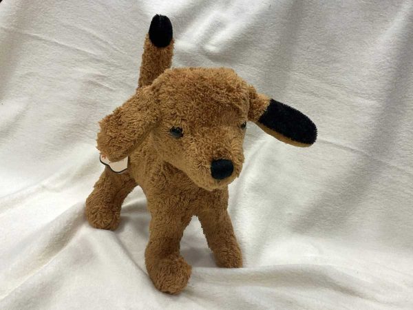Kallisto Hund braun