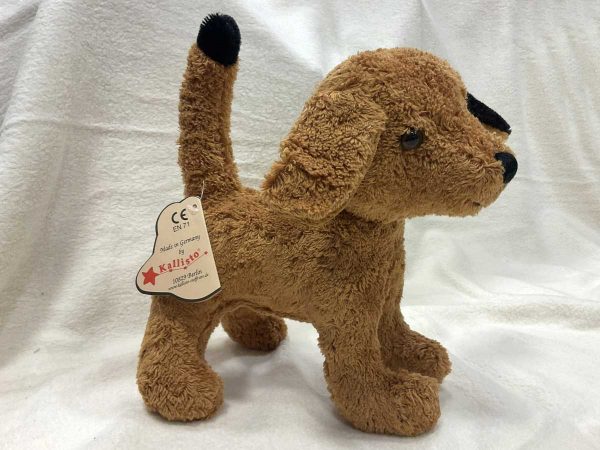 Kallisto Hund braun