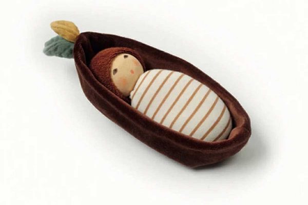 Nanchen Eichenbaby im Rindenbett