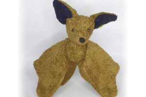 Kallisto Fledermaus Joshi