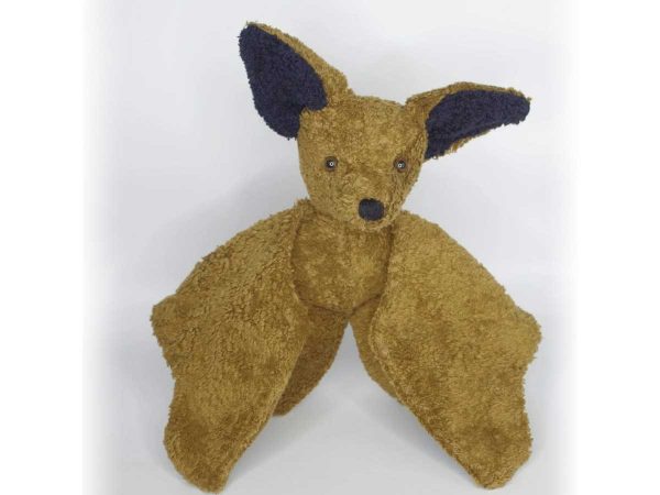 Kallisto Fledermaus Joshi