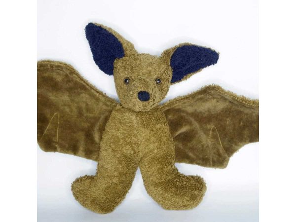 Kallisto Fledermaus Joshi