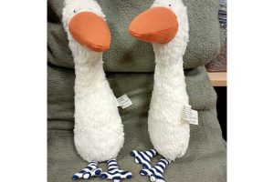 Gans Agathe 03