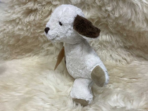 Kallisto kleiner Hund weiss