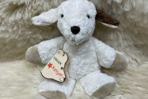 Kallisto kleiner Hund weiss