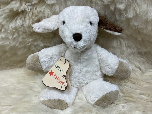 Kallisto kleiner Hund weiss