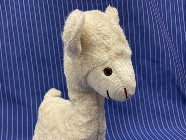 Kallisto Lama weiss