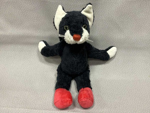 Kallisto Kater Alfons