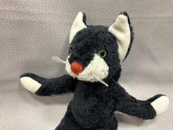 Kallisto Kater Alfons