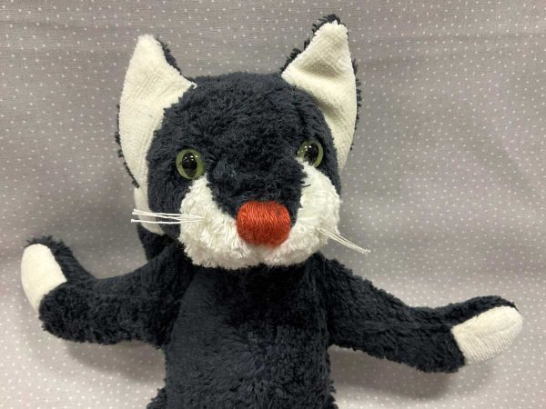 Kallisto Kater Alfons
